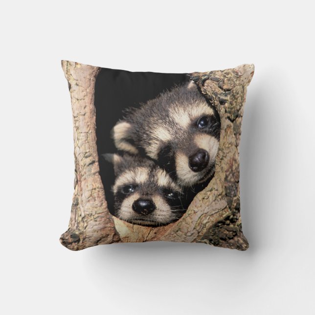 Baby Raccoons Peeking out of Tree Cushion (Front)
