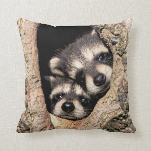 Baby Raccoons Peeking out of Tree Cushion