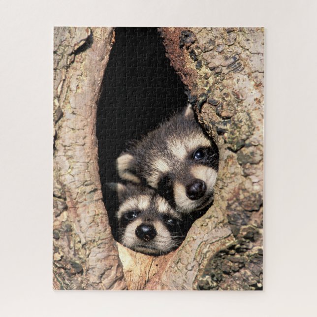 Baby Raccoons Peeking out of Tree Jigsaw Puzzle (Vertical)