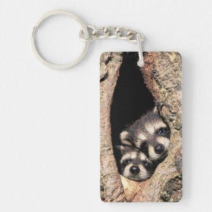 Baby Raccoons Peeking out of Tree Key Ring