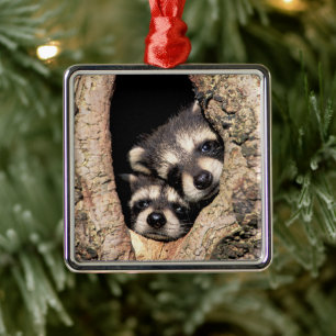 Baby Raccoons Peeking out of Tree Metal Tree Decoration