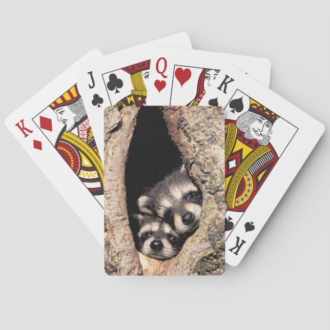 Baby Raccoons Peeking out of Tree Playing Cards (Back)