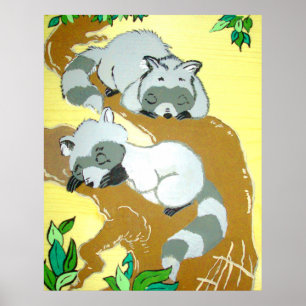 Baby Raccoons Sleeping Poster