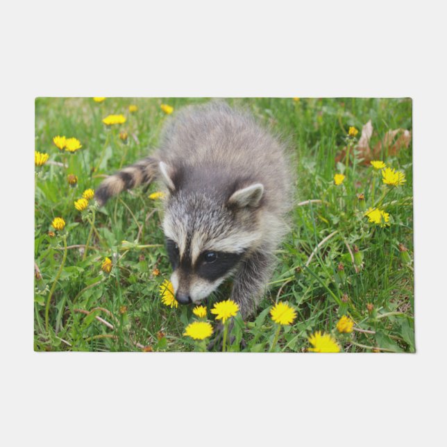 Baby racoon door mat (Front)