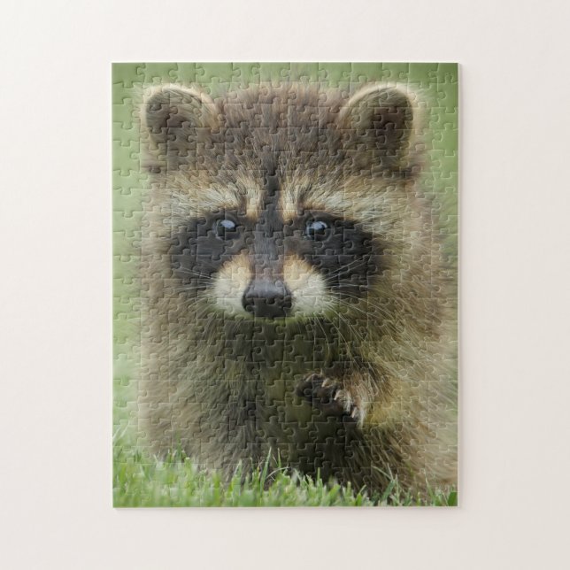 Baby Racoon Jigsaw Puzzle (Vertical)