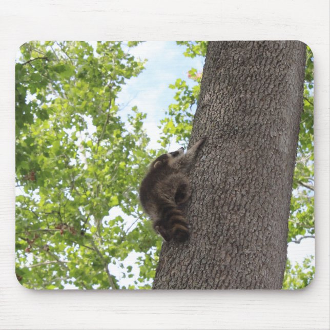 Baby Racoon Mouse Mat (Front)
