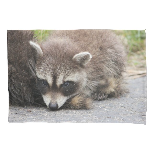 Baby Racoon Pillowcase (Front)
