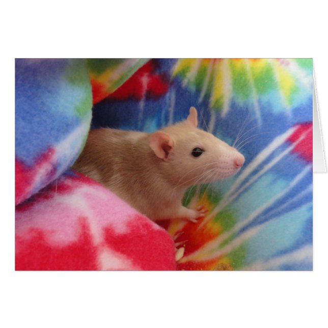 Baby Rat (Front Horizontal)