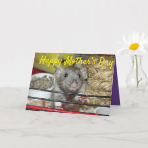 Baby rat Mother's Day Card