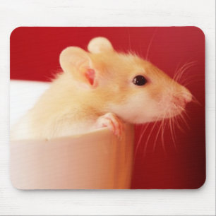 Baby Rat Mouse Mat