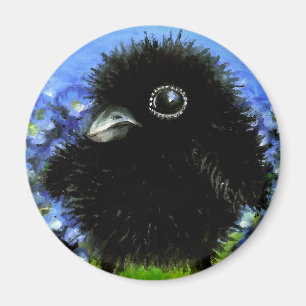 Baby raven magnet