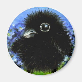 Baby raven magnet