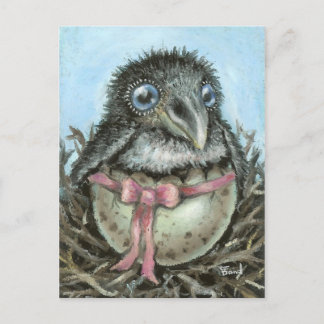 Baby Raven Postcard