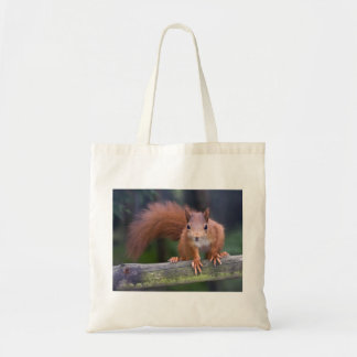 Baby Red Bag