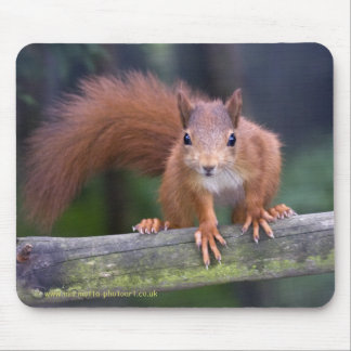 Baby Red Mousemat