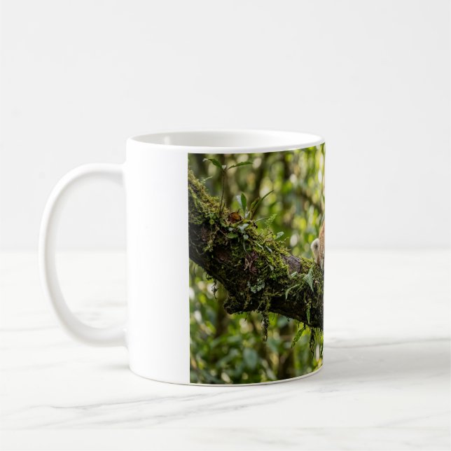 Baby Red Panda Resting in a Tree Coffee Mug (Left)
