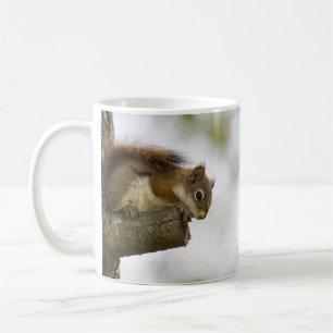 Baby Red Squirrel Coffee Mug