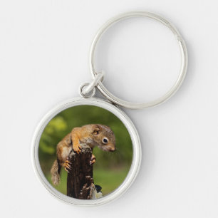 Baby Red Squirrel Key Ring
