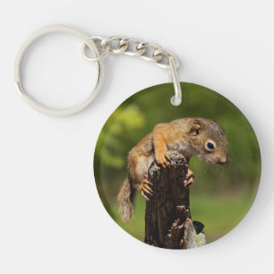 Baby Red Squirrel Key Ring