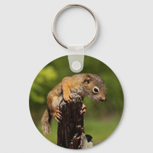 Baby Red Squirrel Key Ring