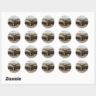 Baby Rhinoceros Life Lesson, Classic Round Sticker