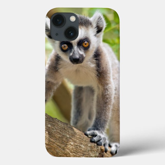 Baby ring-tailed lemur Case-Mate iPhone case (Back)
