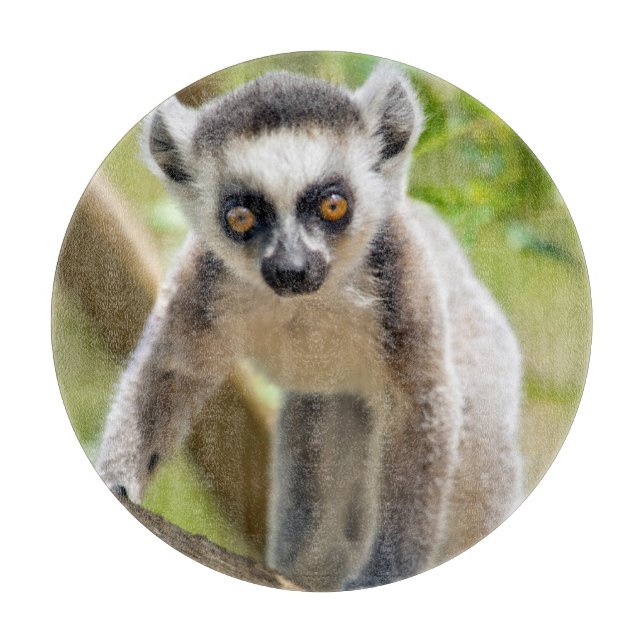 Baby ring-tailed lemur cutting board (Front)