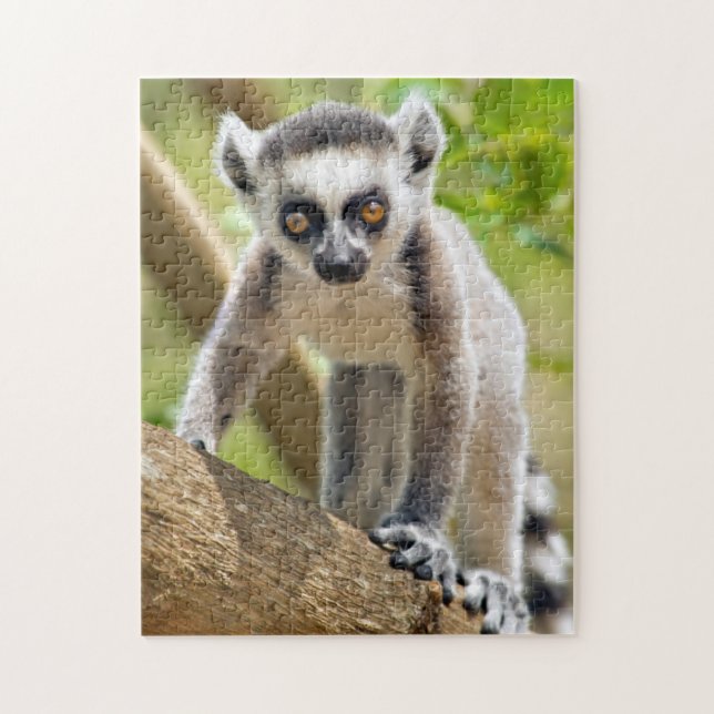 Baby ring-tailed lemur jigsaw puzzle (Vertical)