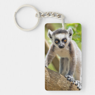 Baby ring-tailed lemur key ring