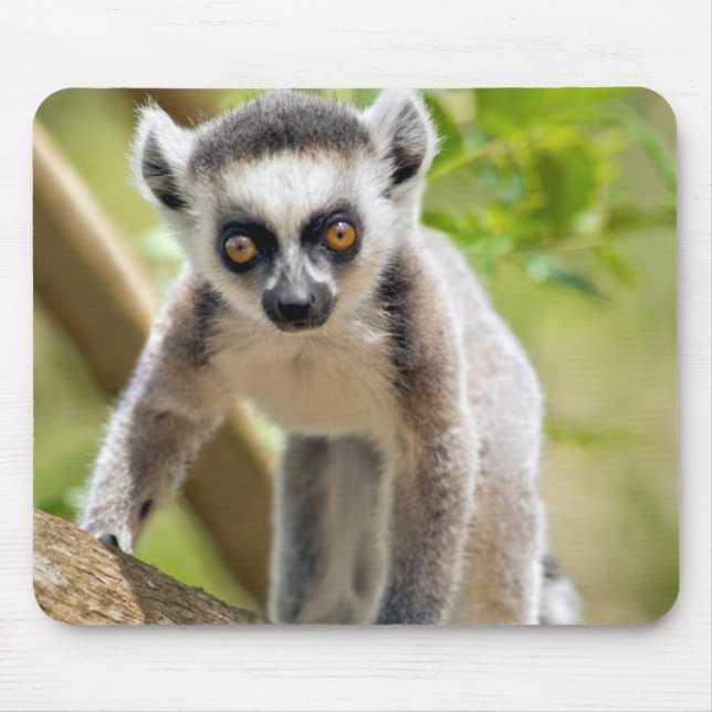 Baby ring-tailed lemur mouse mat (Front)