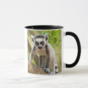 Baby ring-tailed lemur mug