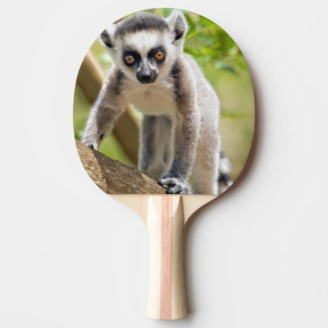 Baby ring-tailed lemur ping pong paddle (Front)