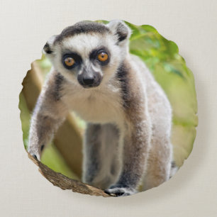 Baby ring-tailed lemur round cushion