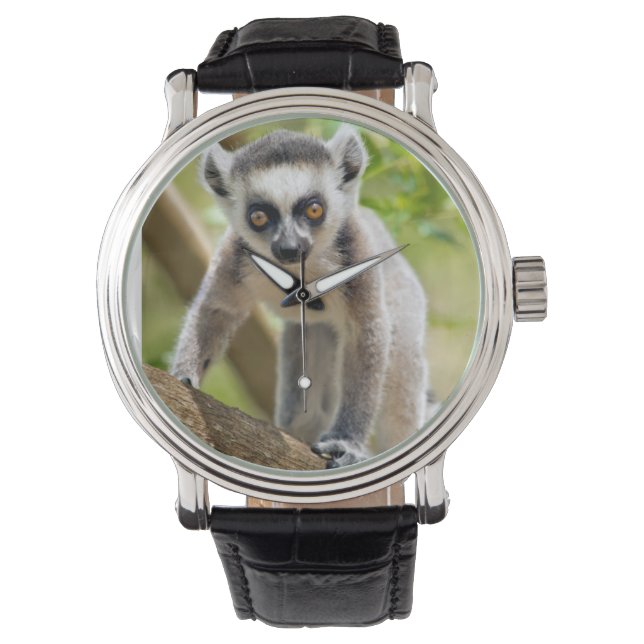 Baby ring-tailed lemur watch (Front)