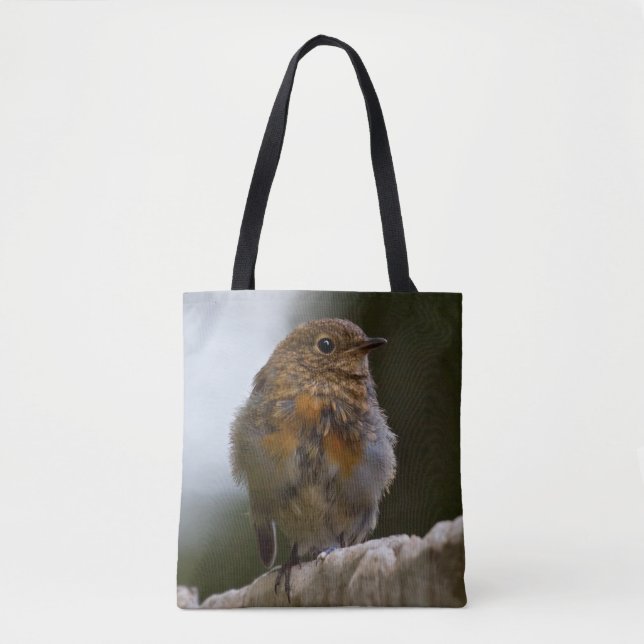 Baby Robin All Over Print Bag (Front)
