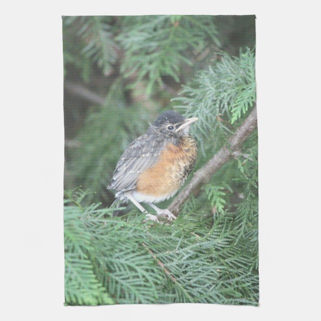 Baby Robin Hand-towel Tea Towel (Vertical)
