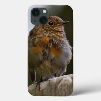 Baby Robin iPad Mini Case