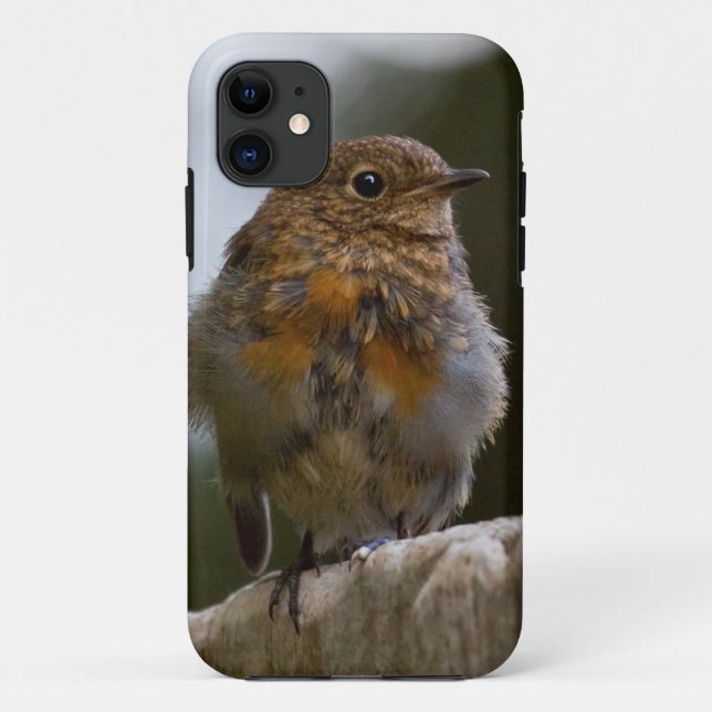 Baby Robin iPhone 5 Case (Back)