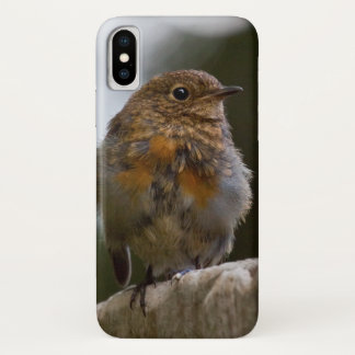 Baby Robin iPhone X Case