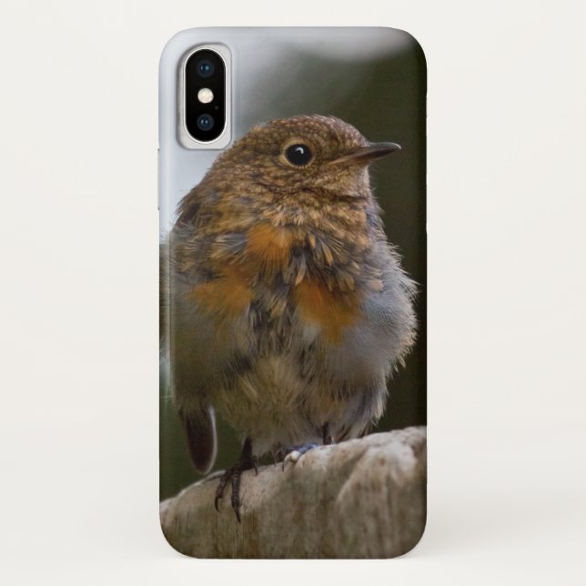 Baby Robin iPhone X Case (Back)