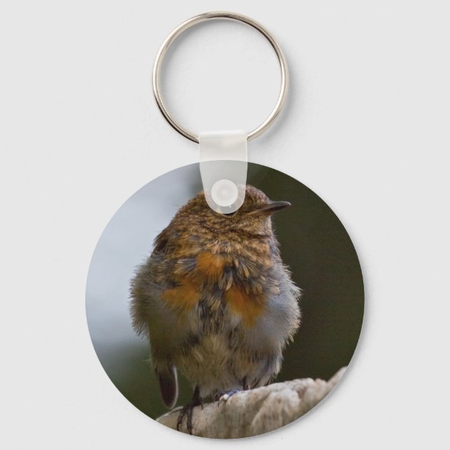 Baby Robin Keyring (Front)