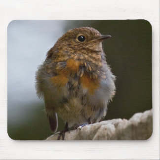 Baby Robin Mousemat