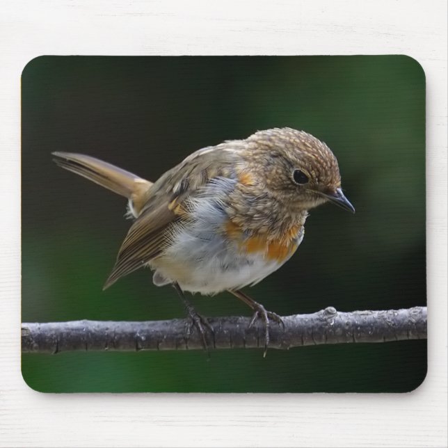 Baby Robin Mouspad Mouse Mat (Front)