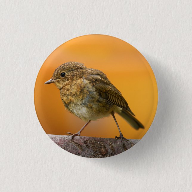 Baby Robin On A Tree Branch 3 Cm Round Badge (Front)