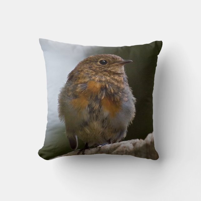 Baby Robin Pillow (Front)