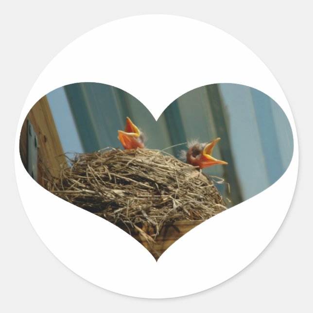 Baby Robins Heart Sticker (Front)