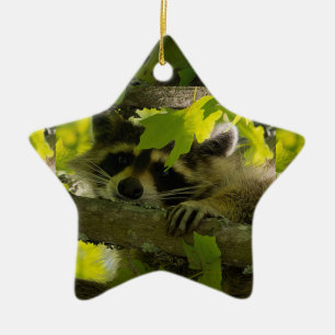 Baby Roccoon Ceramic Tree Decoration