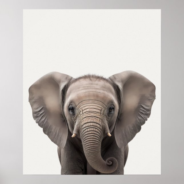 Baby Safari African Jungle Animals Elephant  Poster (Front)