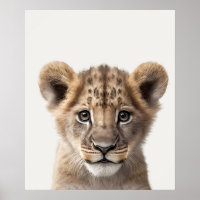 Baby Safari African Jungle Animals Lion Cub 