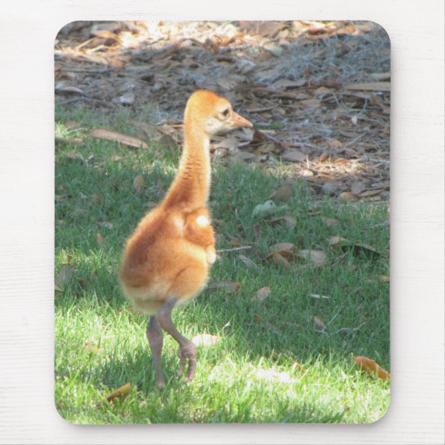 Baby Sandhill Crane Mouse Mat (Front)